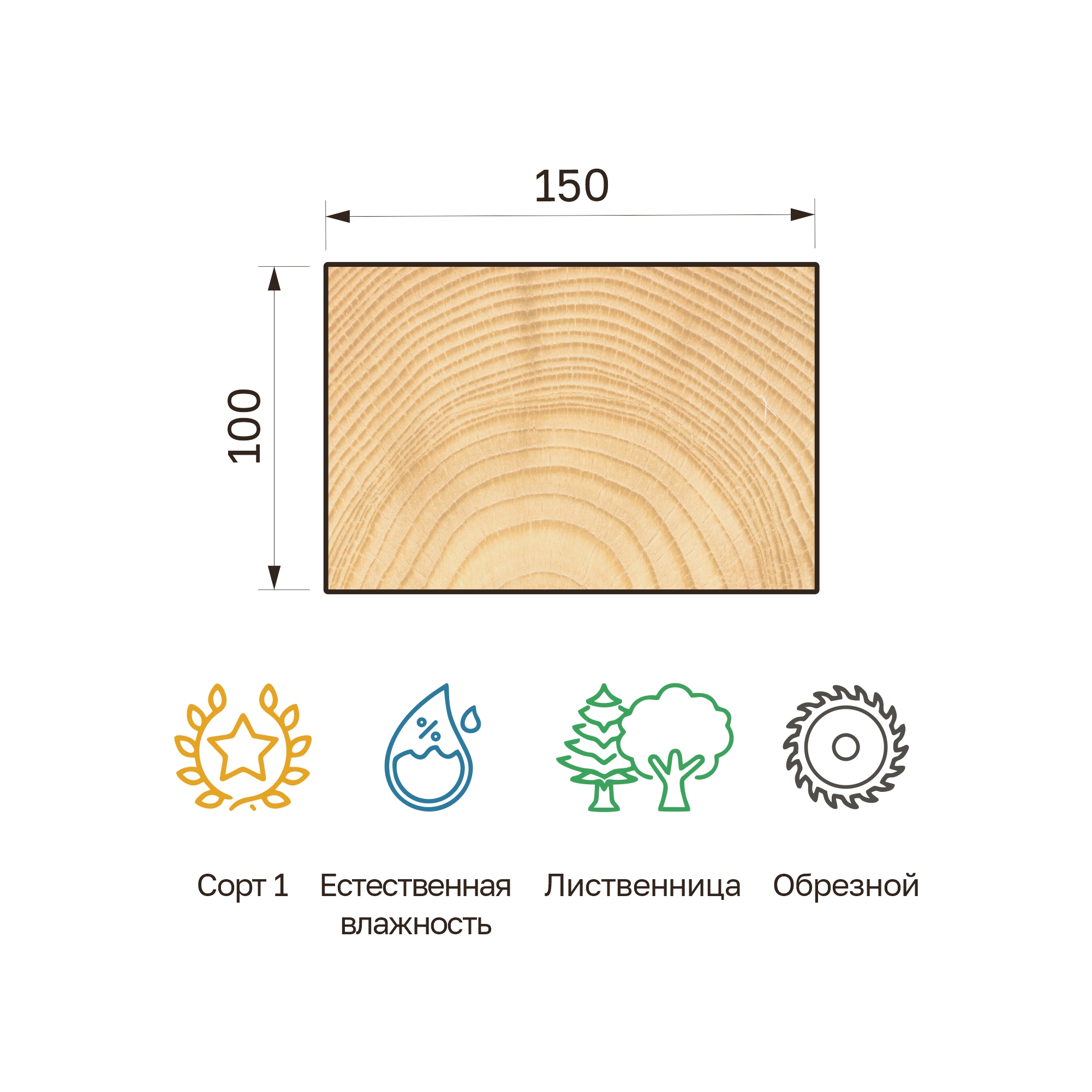 24_100x150v_listv_obr 24_100x150v_listv_obr