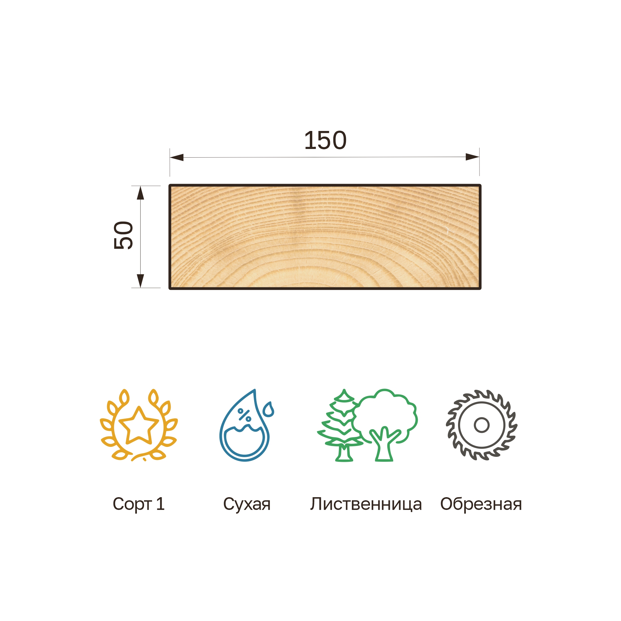 30_50x150s_listv_obr 30_50x150s_listv_obr