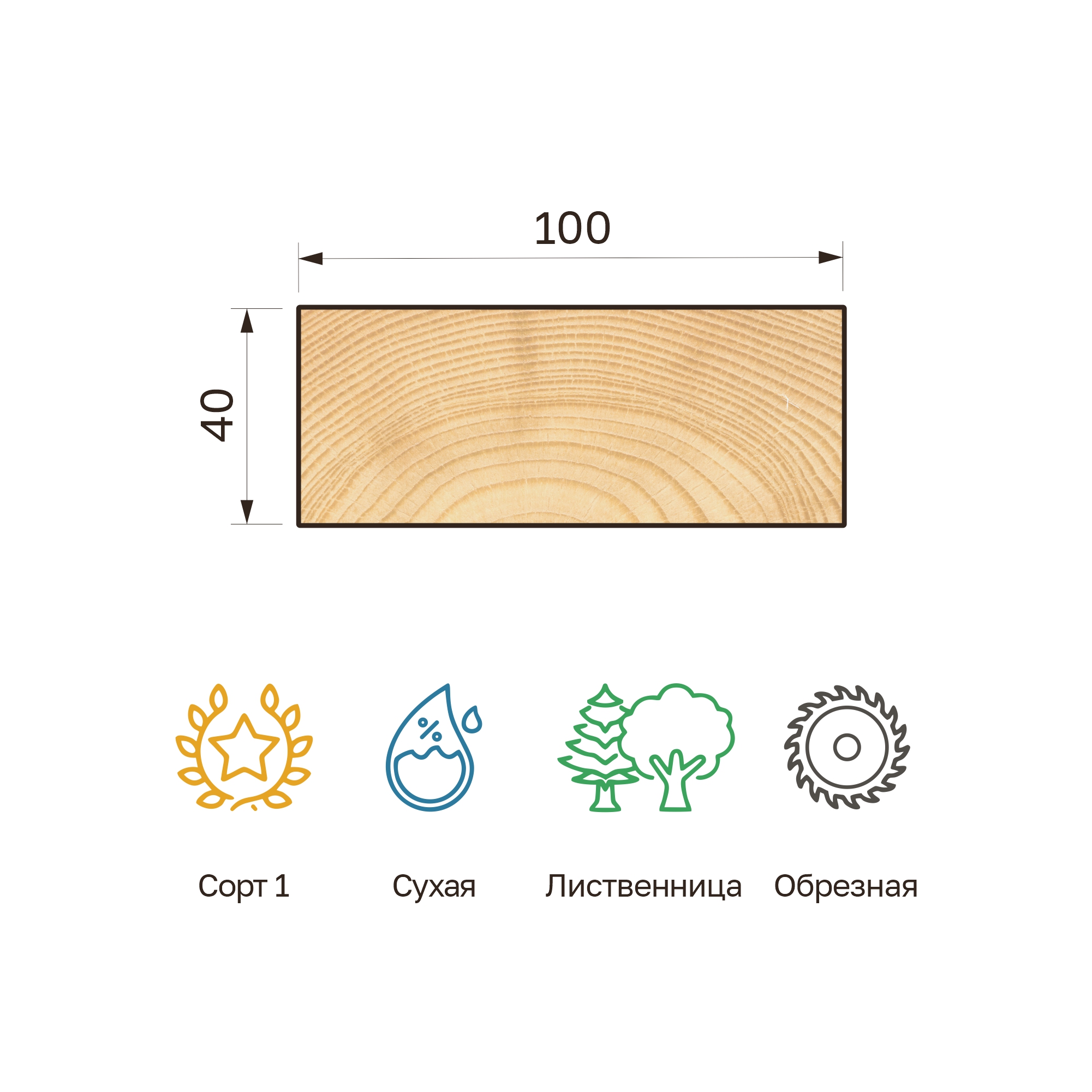 29_40x100s_listv_obr 29_40x100s_listv_obr