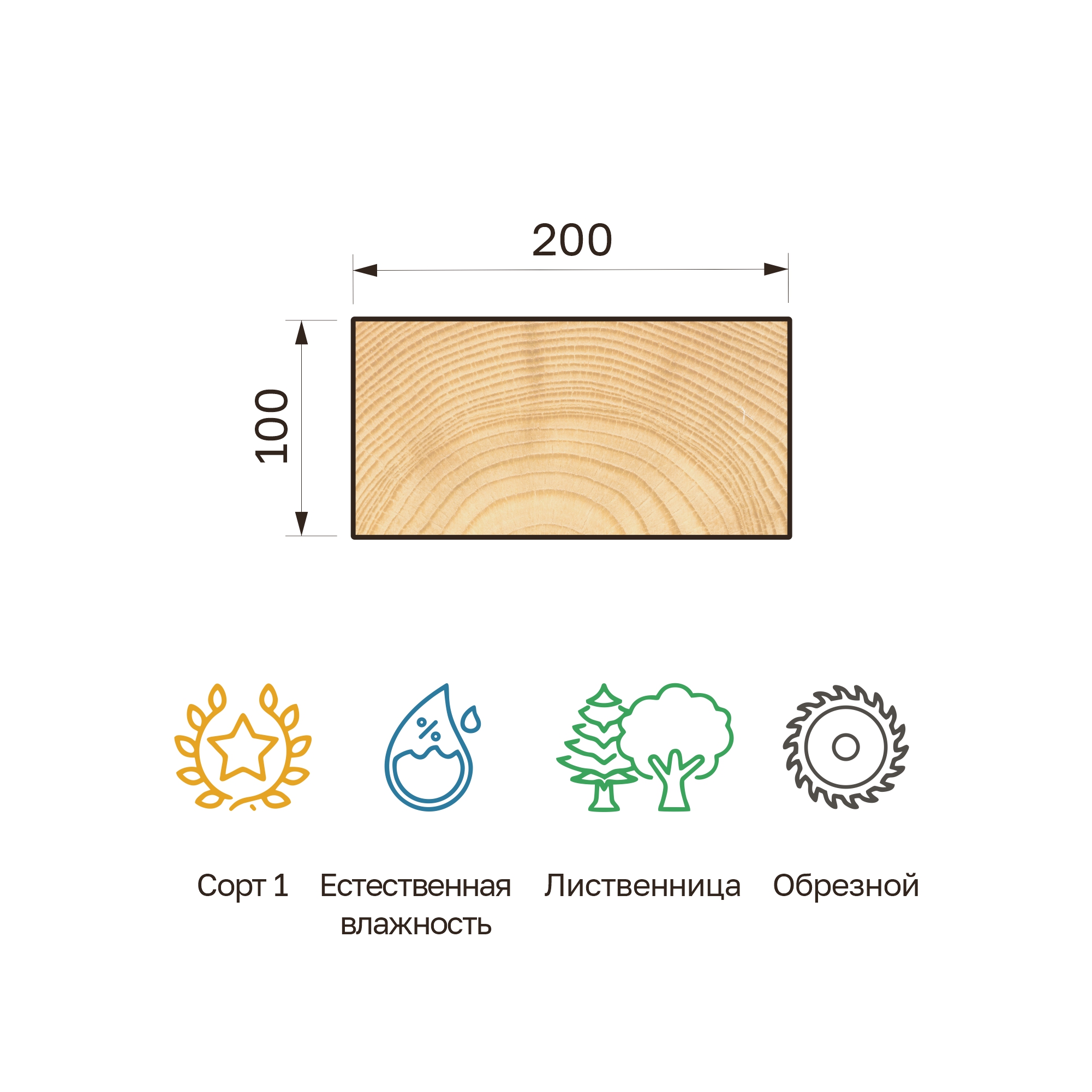 25_100x200v_listv_obr 25_100x200v_listv_obr