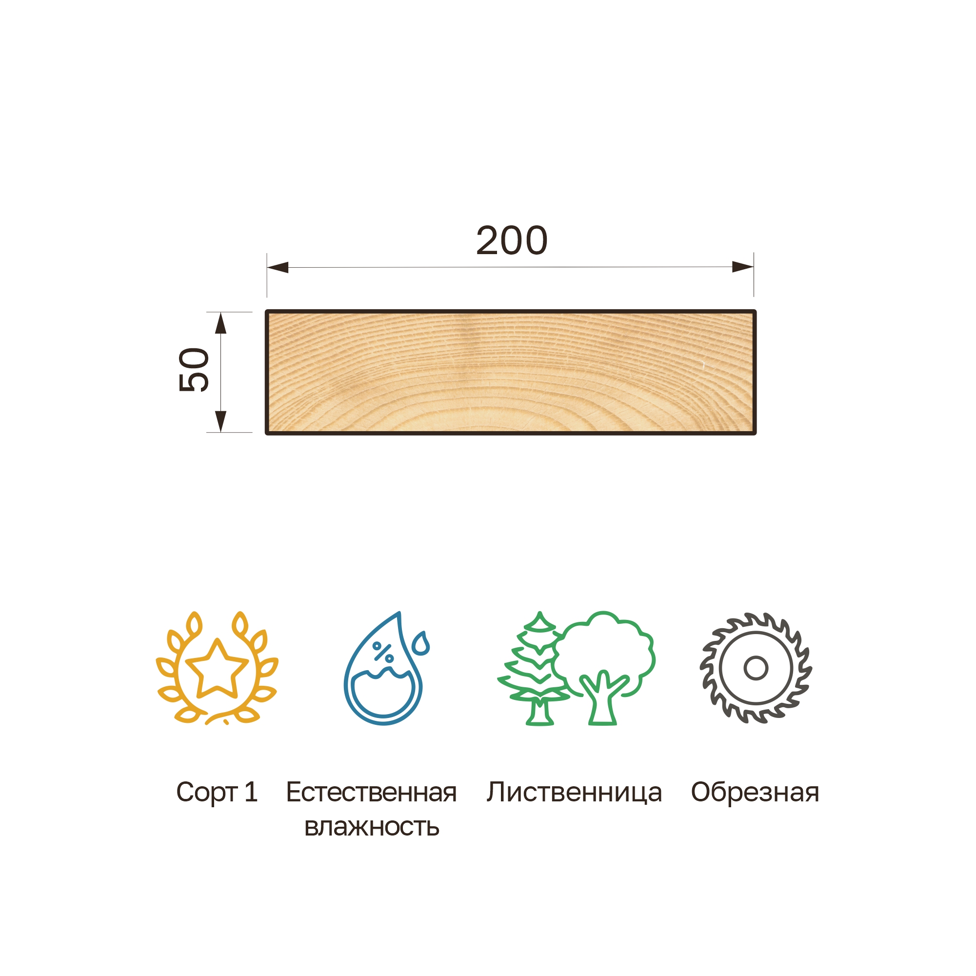 31_50x200v_listv_obr 31_50x200v_listv_obr