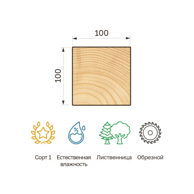 23_100x100v_listv_obr